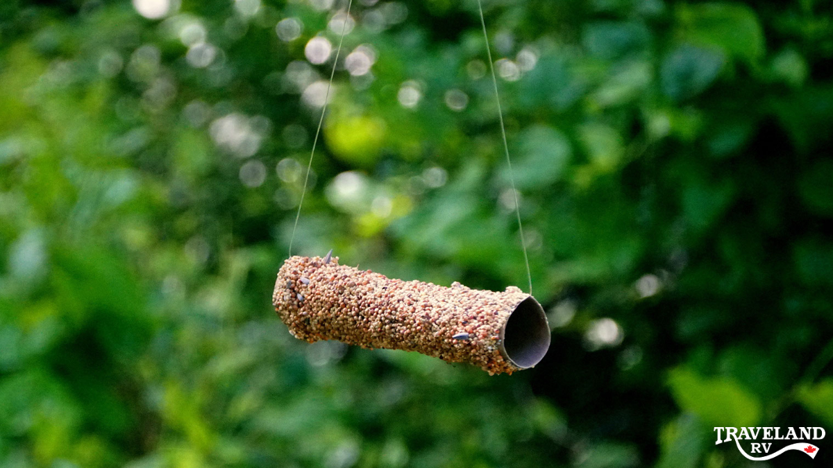 DIY Bird Feeder