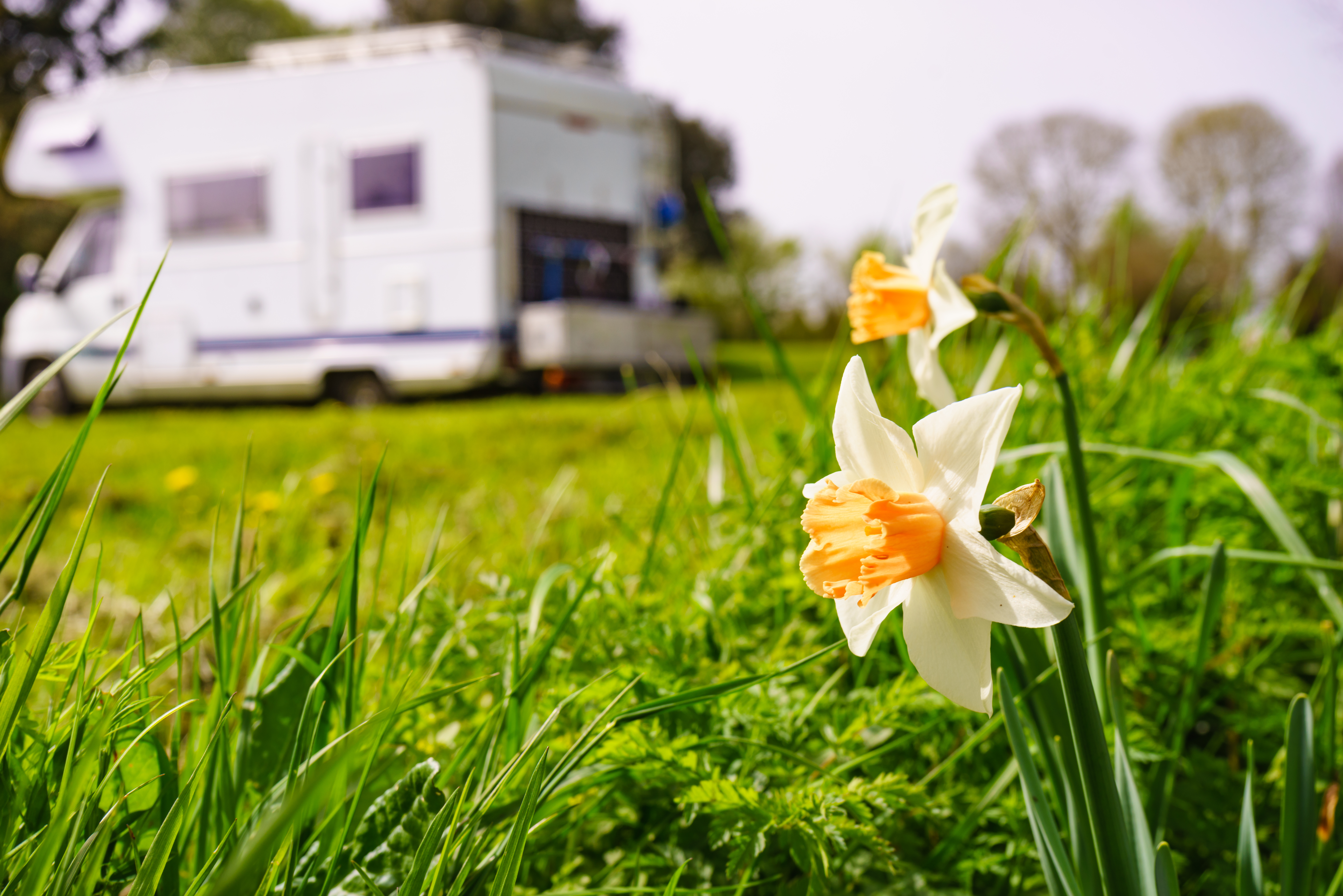 5 Ways to Spend Easter in Your RV